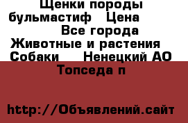 Щенки породы бульмастиф › Цена ­ 25 000 - Все города Животные и растения » Собаки   . Ненецкий АО,Топседа п.